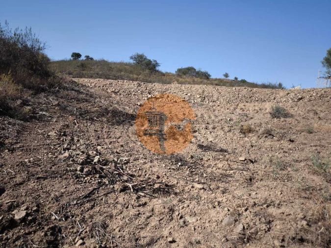 Terreno para Venda em Azinhal Foto 4