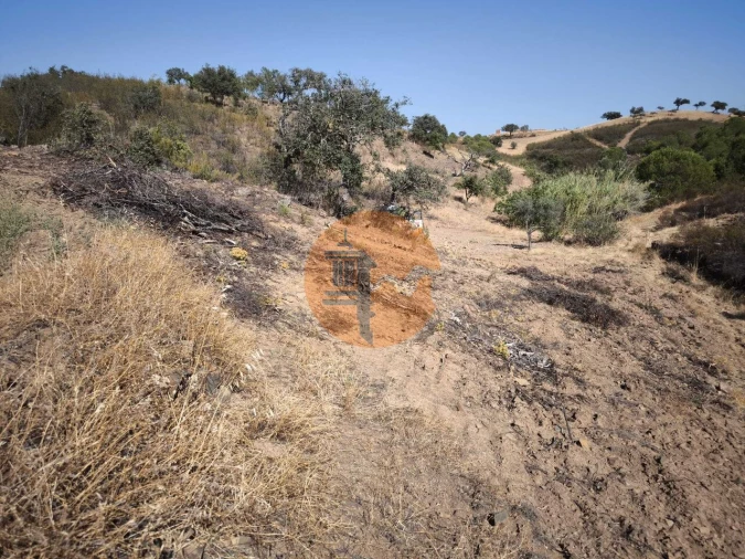 Terreno para Venda em Azinhal Foto 11