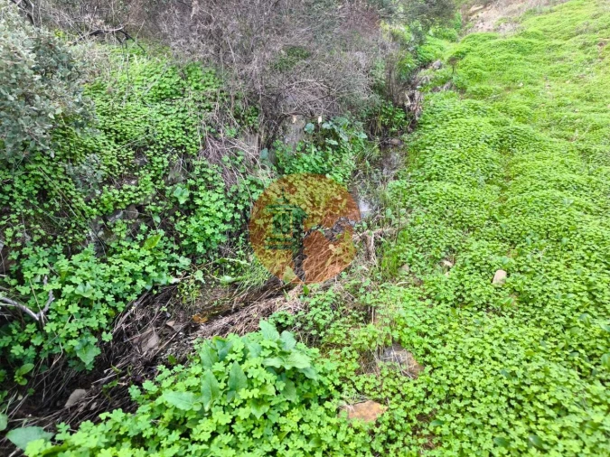 Terreno para Venda em Azinhal Foto 3