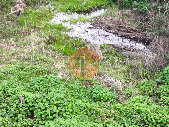 Terreno para Venda em Azinhal Foto 7