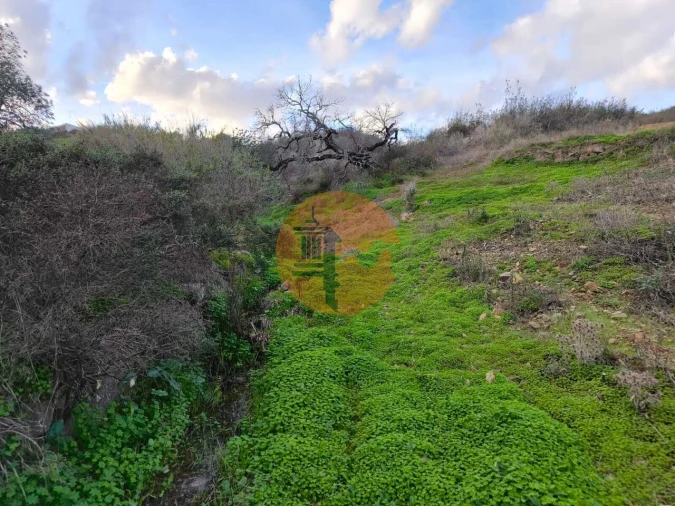 Terreno para Venda em Azinhal Foto 24