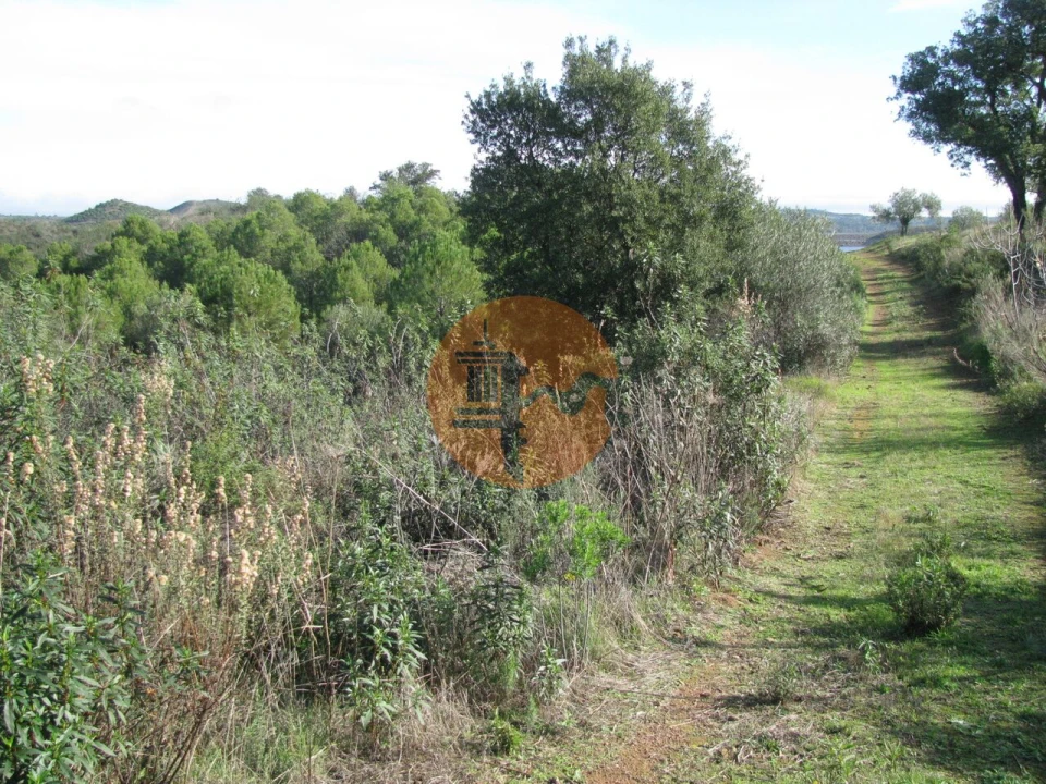 Terreno para Venda em Azinhal Foto 5
