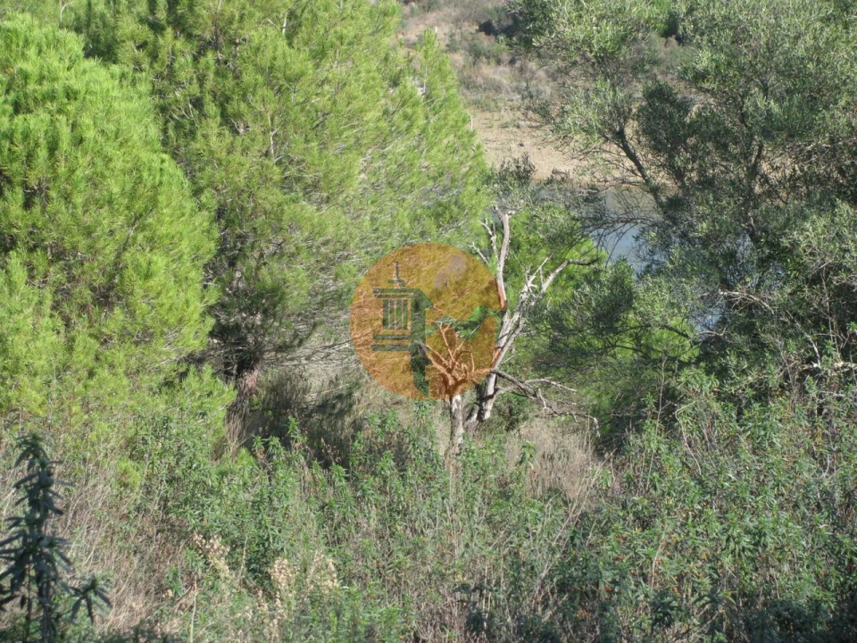 Terreno para Venda em Azinhal Foto 10