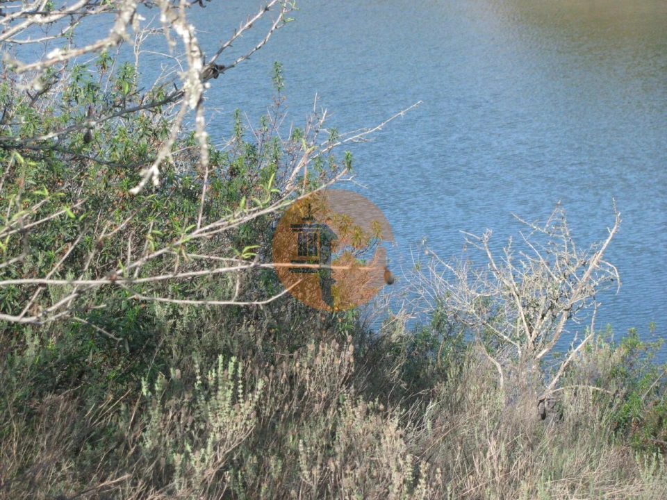 Terreno para Venda em Azinhal Foto 12