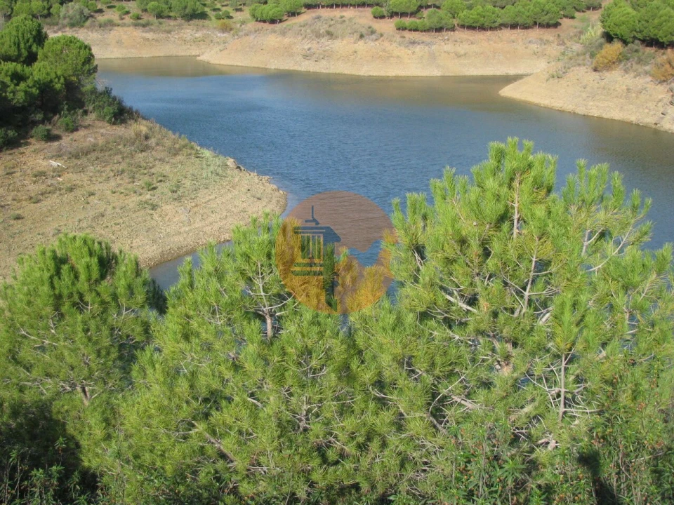 Terreno para Venda em Azinhal Foto 7