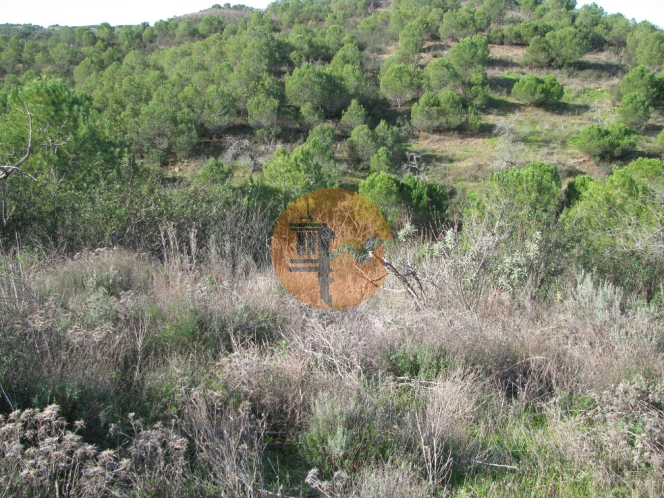 Terreno para Venda em Azinhal Foto 15