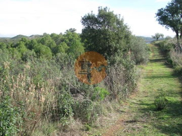 Terreno para Venda em Azinhal