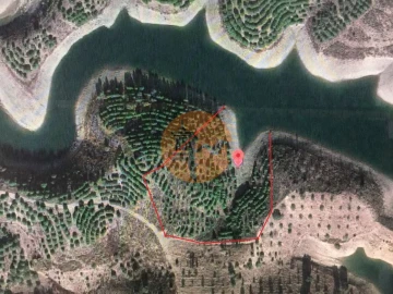 Terreno para Venda em Azinhal
