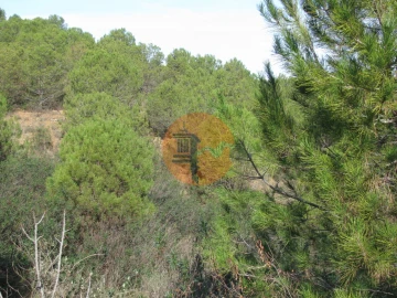 Terreno para Venda em Azinhal