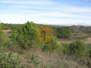 Terreno para Venda em Azinhal