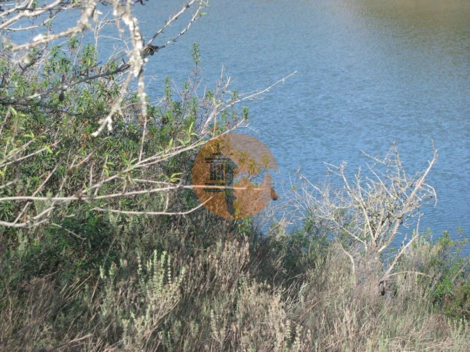 Terreno para Venda em Azinhal Foto 12