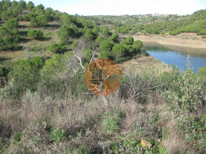 Terreno para Venda em Azinhal Foto 14