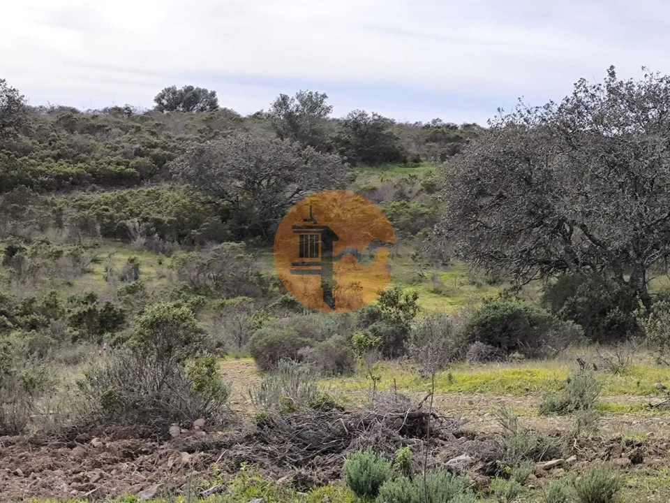 Terreno para Venda em Odeleite Foto 19