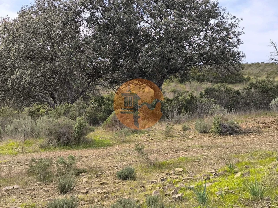 Terreno para Venda em Odeleite Foto 4
