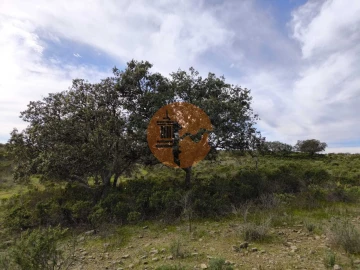 Terreno para Venda em Odeleite