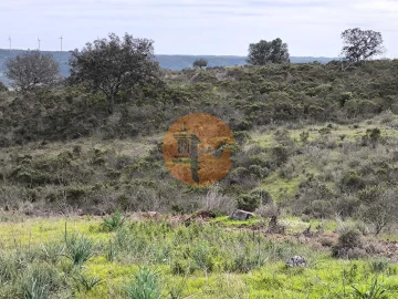 Terreno para Venda em Odeleite