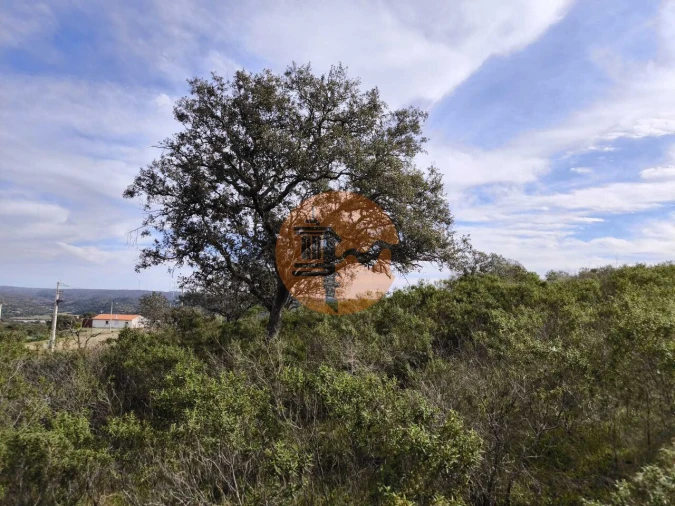 Terreno para Venda em Odeleite Foto 3