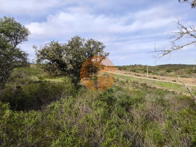 Terreno para Venda em Odeleite Foto 8