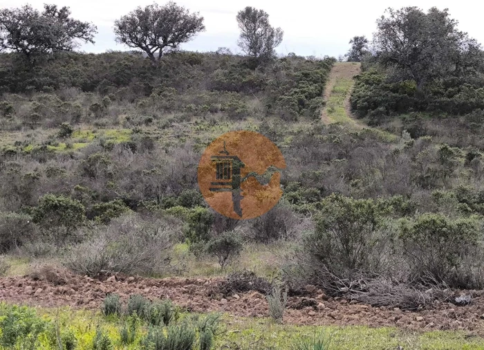 Terreno para Venda em Odeleite Foto 18