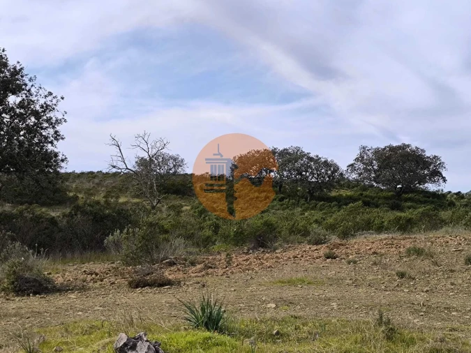 Terreno para Venda em Odeleite Foto 21