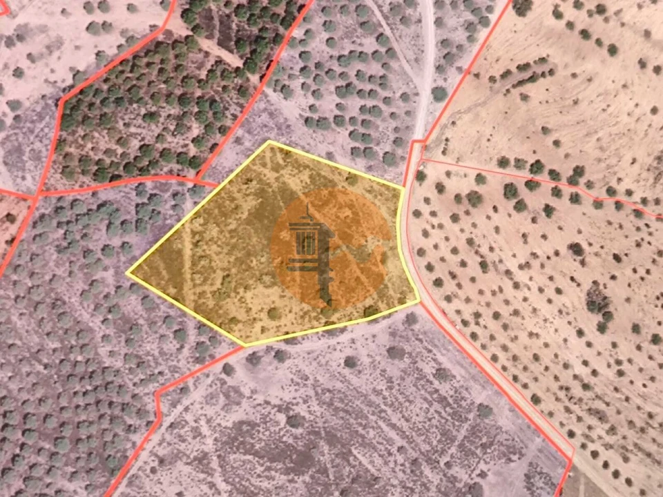Terreno para Venda em Odeleite Foto 12