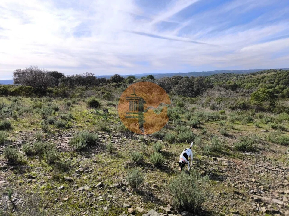 Terreno para Venda em Odeleite Foto 5