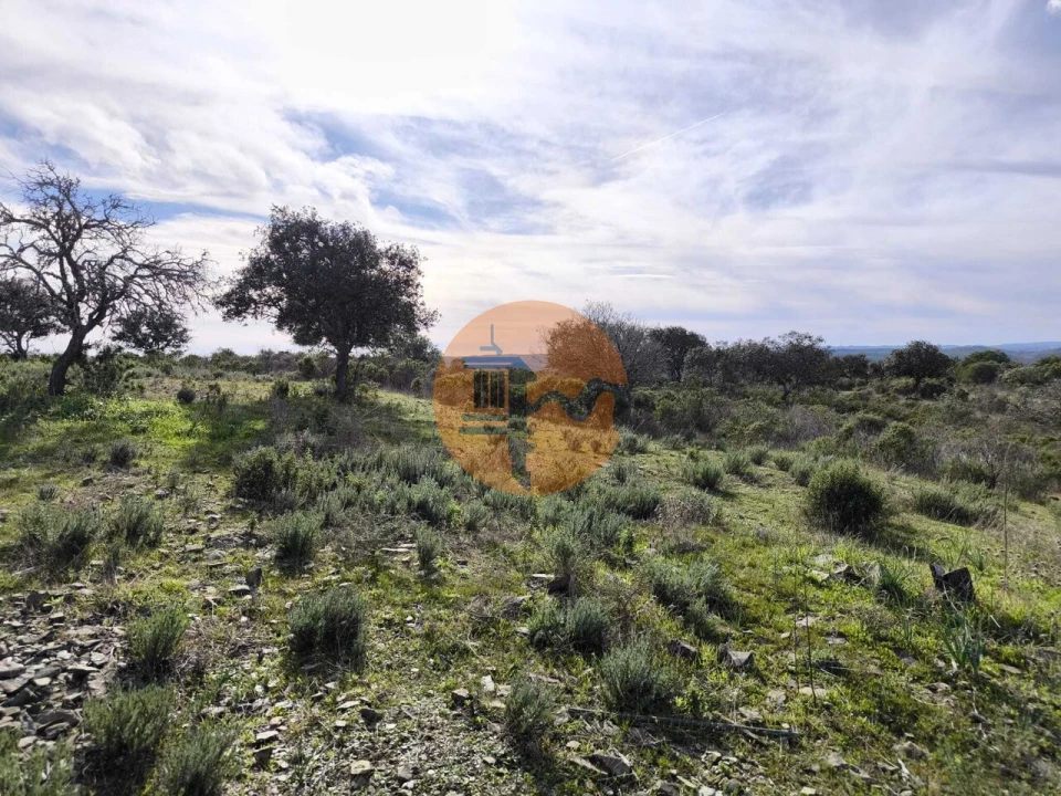 Terreno para Venda em Odeleite Foto 1