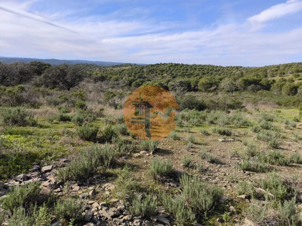 Terreno para Venda em Odeleite Foto 9