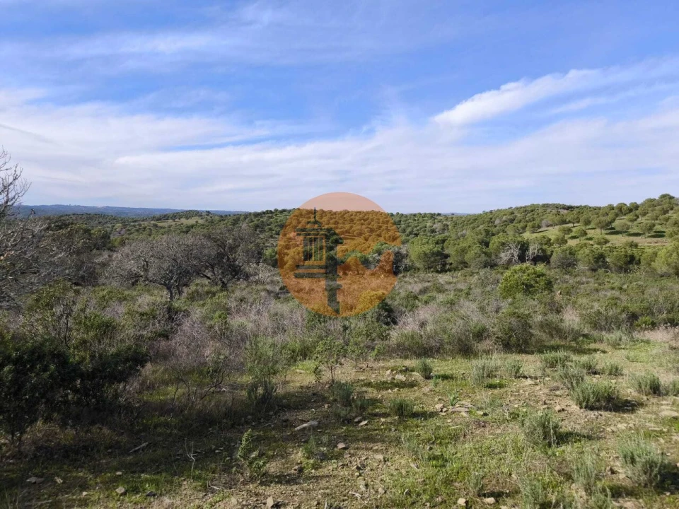 Terreno para Venda em Odeleite Foto 10