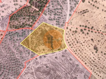 Terreno para Venda em Odeleite