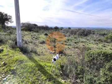Terreno para Venda em Odeleite