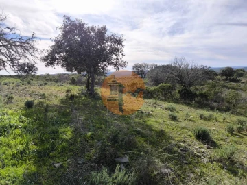Terreno para Venda em Odeleite