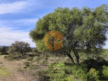 Terreno para Venda em Odeleite