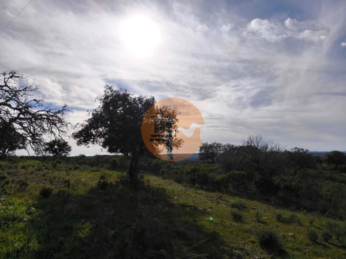 Terreno para Venda em Odeleite Foto 3