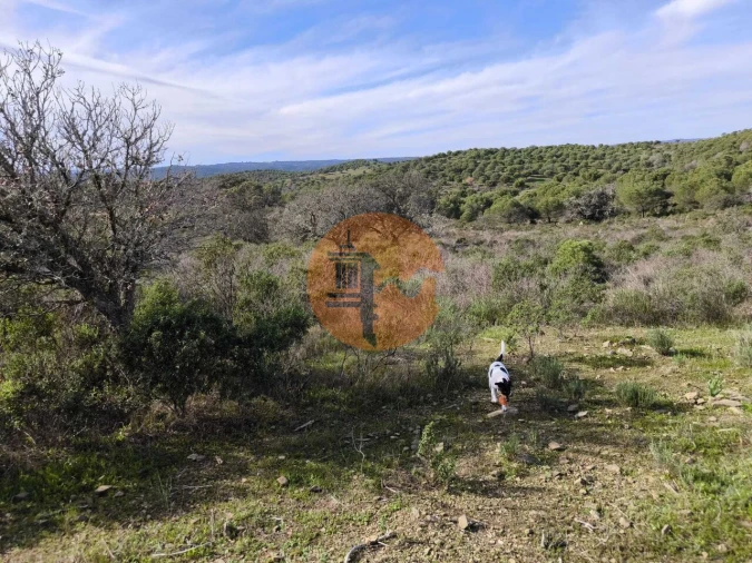 Terreno para Venda em Odeleite Foto 15