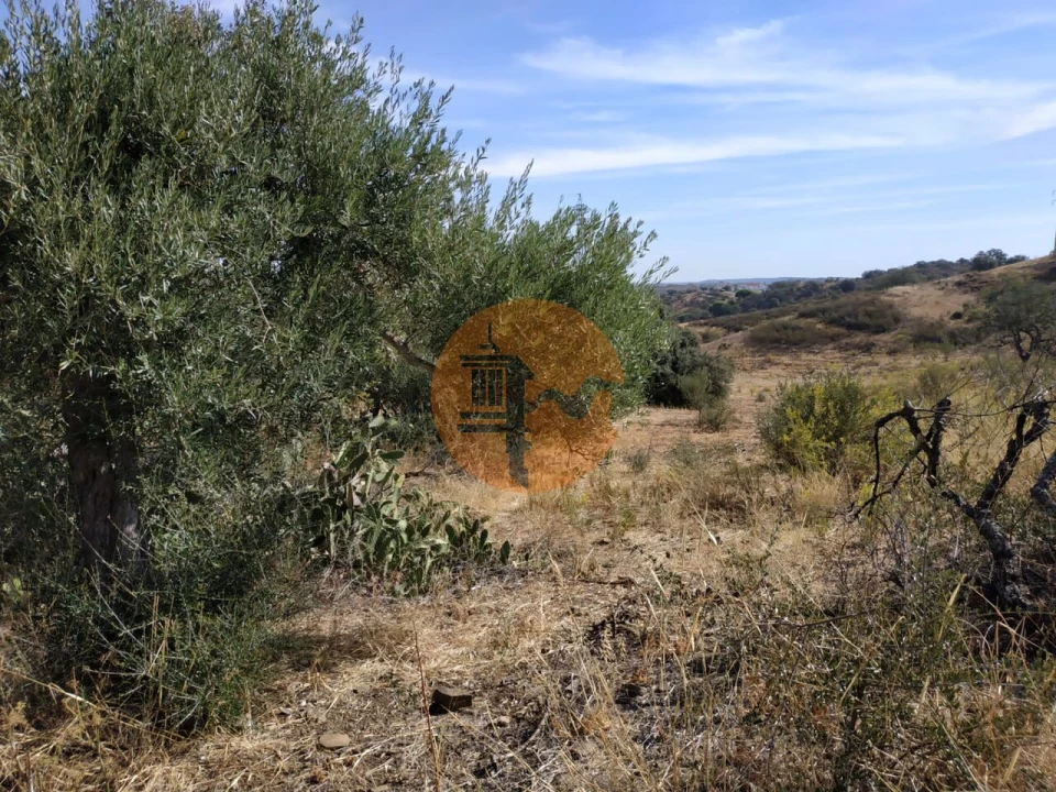 Terreno para Venda em Castro Marim Foto 30
