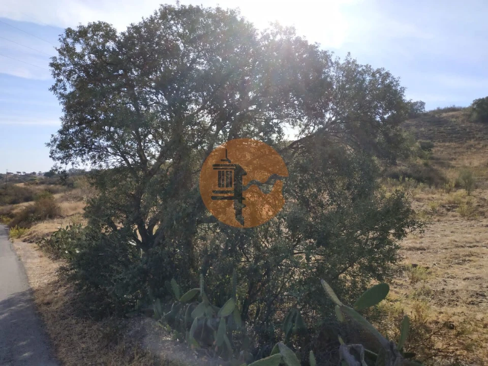 Terreno para Venda em Castro Marim Foto 45