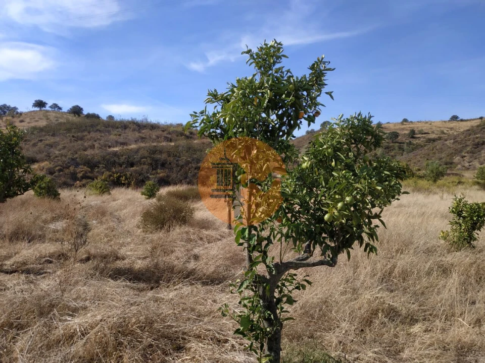 Terreno para Venda em Castro Marim Foto 47