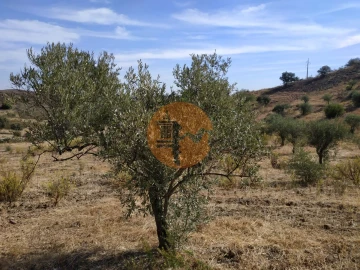 Terreno para Venda em Castro Marim