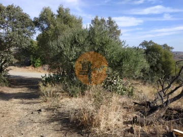 Terreno para Venda em Castro Marim