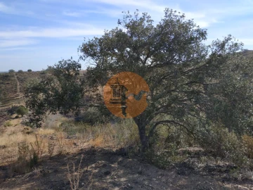 Terreno para Venda em Castro Marim