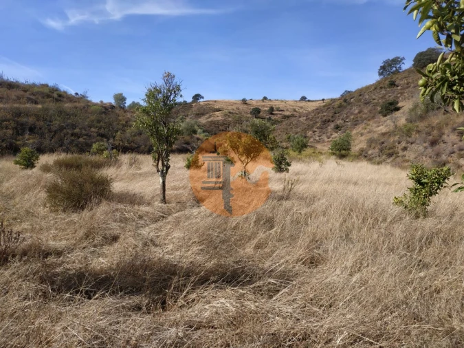 Terreno para Venda em Castro Marim Foto 49