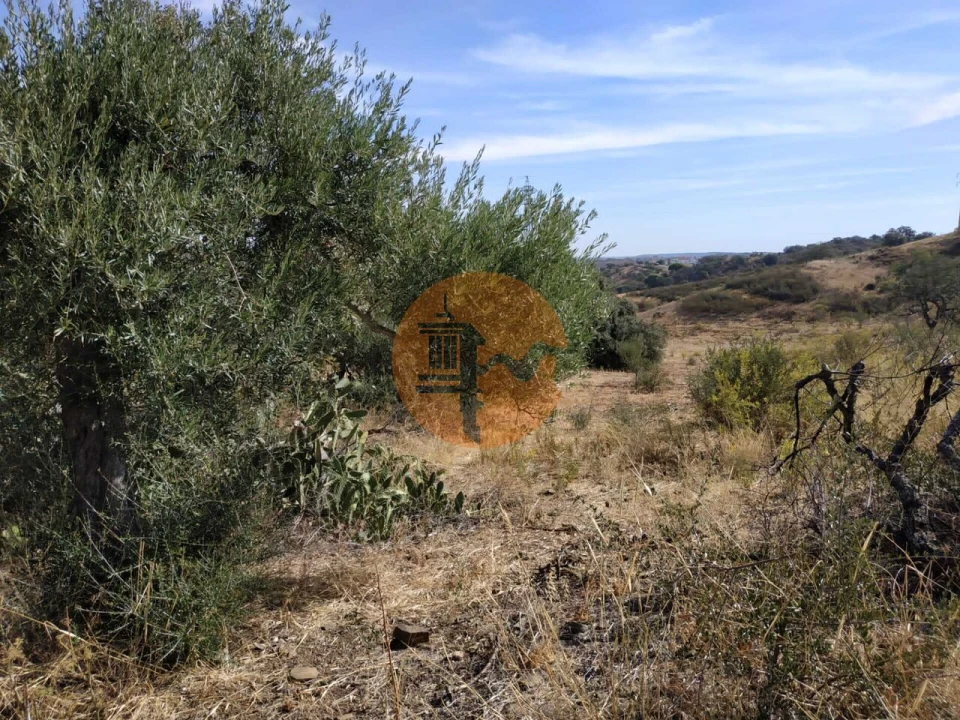 Negócio para Venda em Castro Marim Foto 30