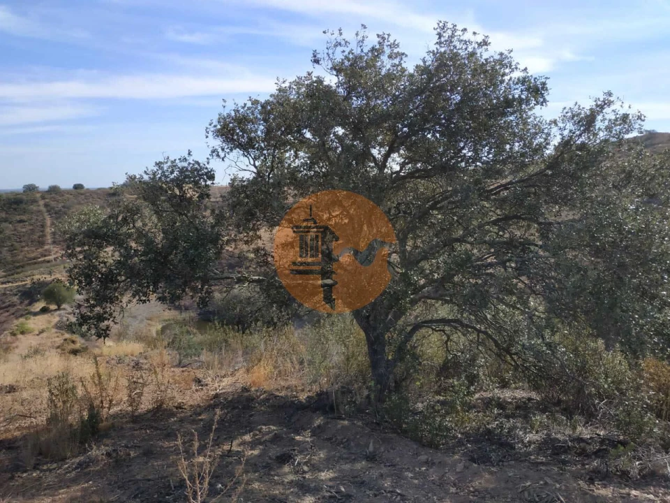 Negócio para Venda em Castro Marim Foto 52