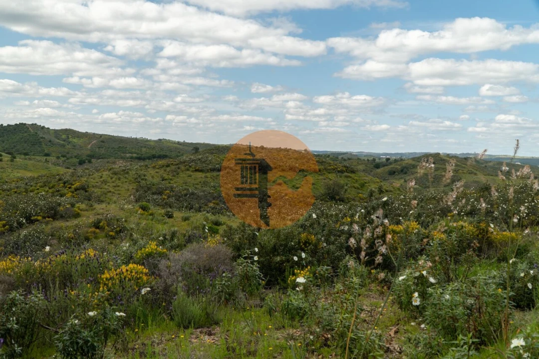 Terreno para Venda em Castro Marim Foto 14