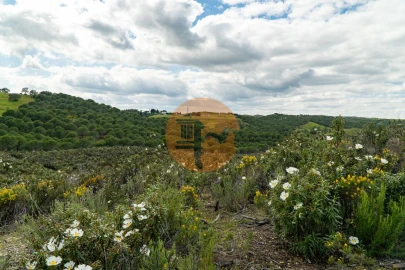 Terreno para Venda em Castro Marim