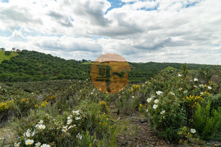 Terreno para Venda em Castro Marim Foto 27