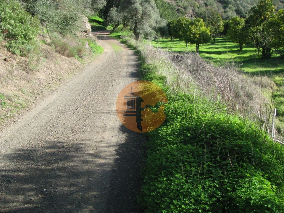 Terreno para Venda em Azinhal Foto 3