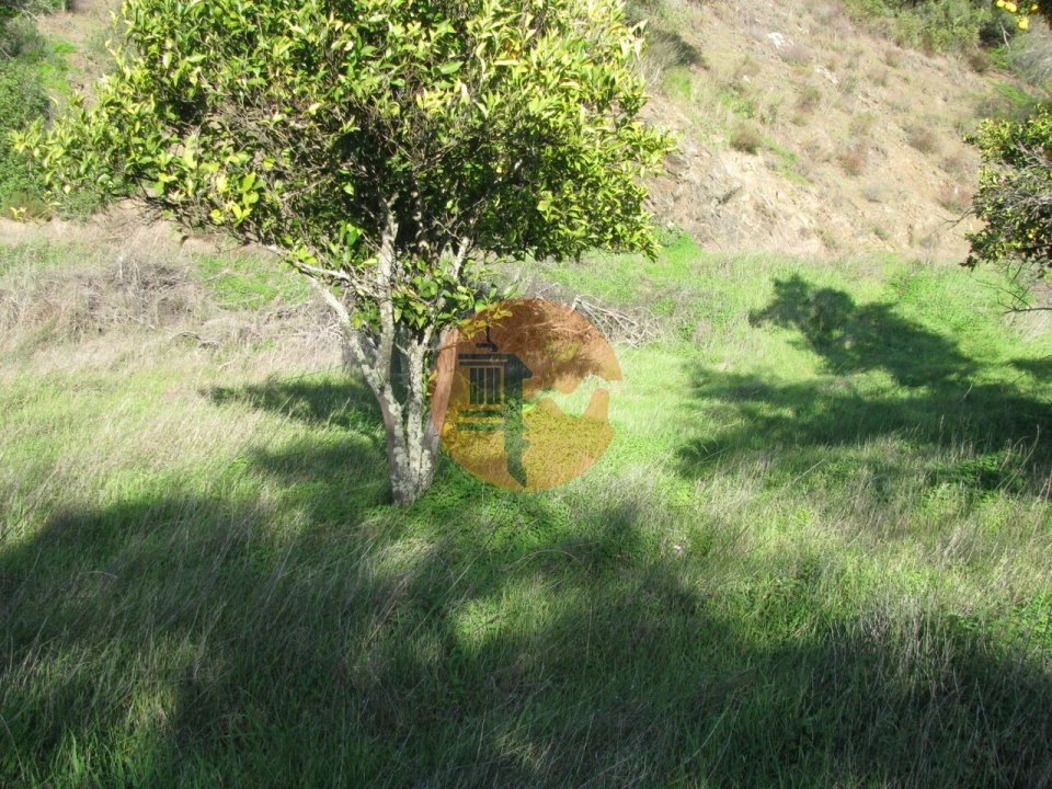 Terreno para Venda em Azinhal Foto 8