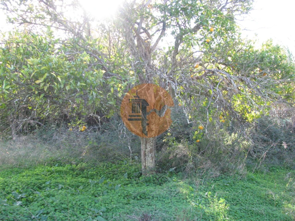 Terreno para Venda em Azinhal Foto 21
